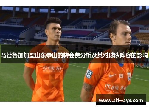马德鲁加加盟山东泰山的转会费分析及其对球队阵容的影响
