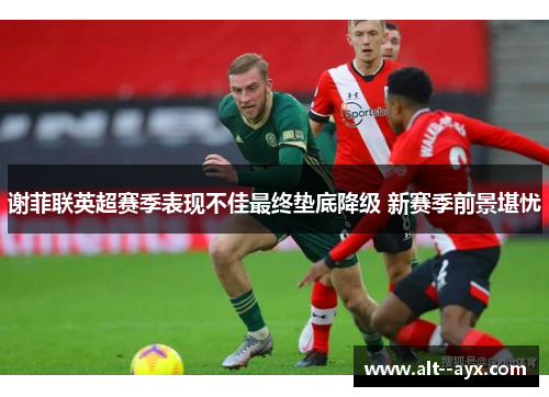 谢菲联英超赛季表现不佳最终垫底降级 新赛季前景堪忧